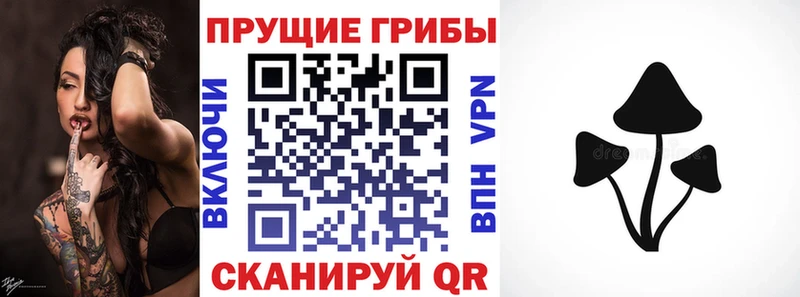 Галлюциногенные грибы Magic Shrooms  мега онион  Малоархангельск 